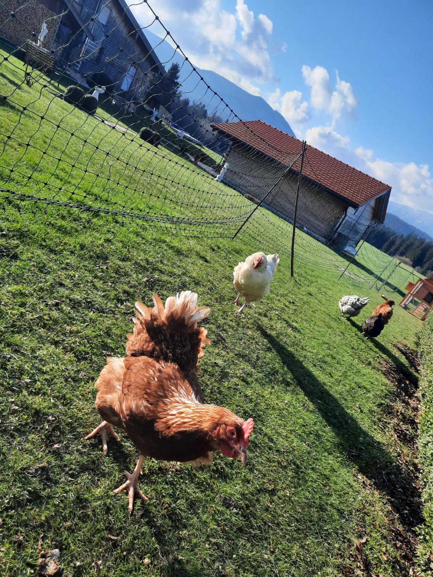Ferienwohnung Am Wirtshof Siegsdorf Kültér fotó