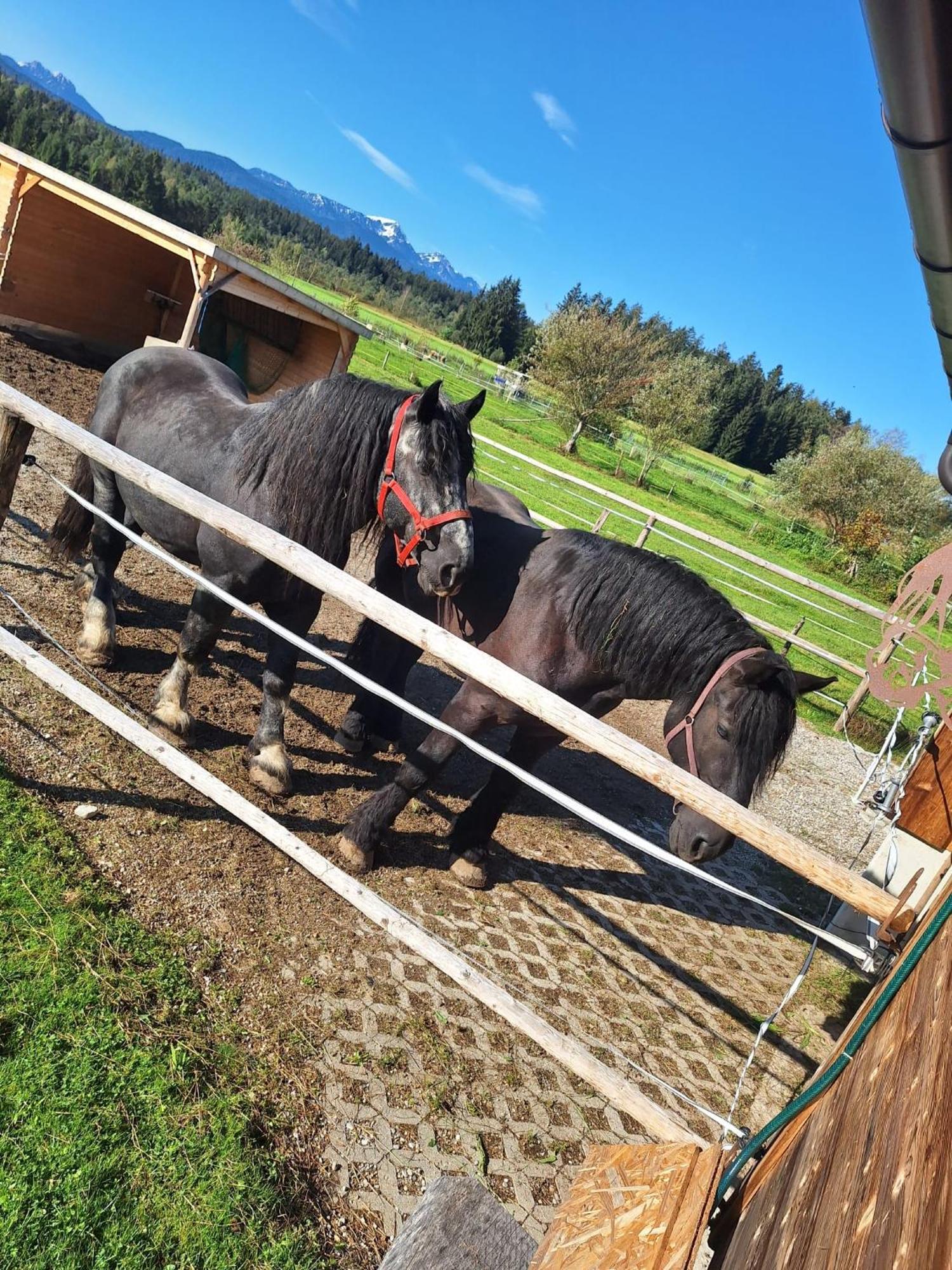 Ferienwohnung Am Wirtshof Siegsdorf Kültér fotó